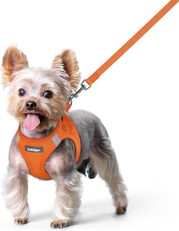 rabbitgoo Dog Harness Small Sized and Leash Set, Step-in Puppy Pet Vest | Light, Soft, Breathable Air Mesh, Easy on and Remove with Hook & Loop, Secure Reflective for Walking, Orange XS