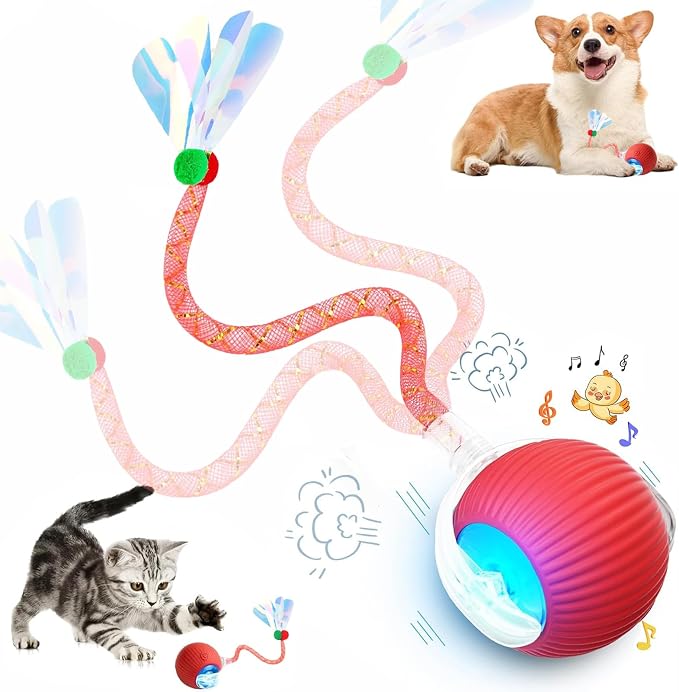 Speed 2.0 Tail Interactive Cat Toys for Indoor Cats, Moving Cat Toy | Chirping & Motion Activate Cat Toy, Smart Kitten Toys Rolling Ball Moving Ball, Electric Dog Cat Ball for Enrichment Exercise