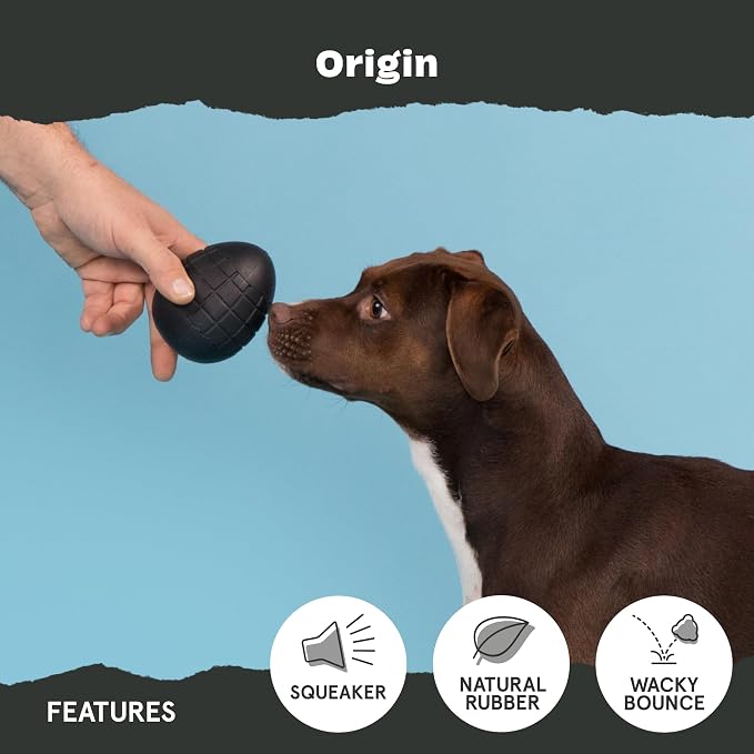 BarkBox Super Chewer Tough Dog Chew Toys - Large