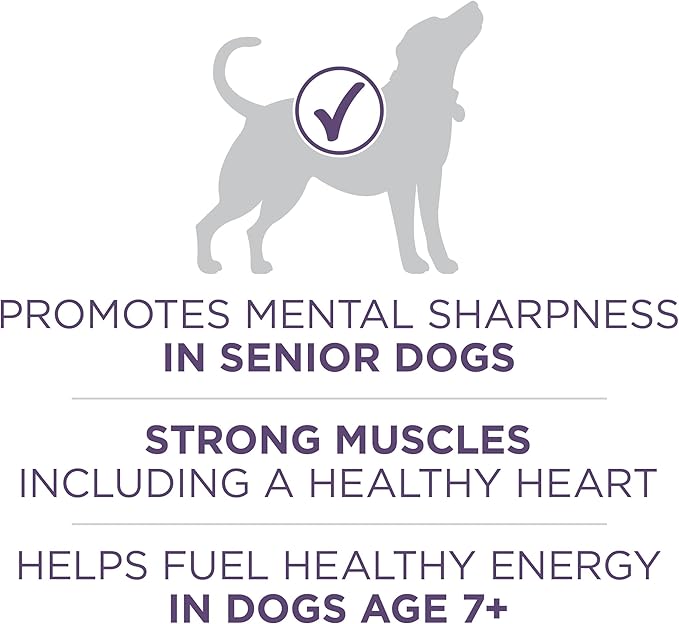 Purina ONE High Protein Dry Senior Dog Food Plus Vibrant Maturity Adult 7 Plus Formula - 4 Pound (Pack of 4) | Vibrant Maturity formula for mature 7+ dogs, real chicken as the first ingredient, promotes metal sharpness in senior dogs