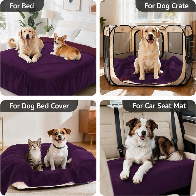 LOOBANI Waterproof Dog Blanket for Small Dogs, Pet Blanket 30" x 40" Purple | Double Side Liquid-Proof, Puppy Blanket for Dog Cat Bed, Crate, Playpen, Reversible Soft Flannel Couch Cover Throw