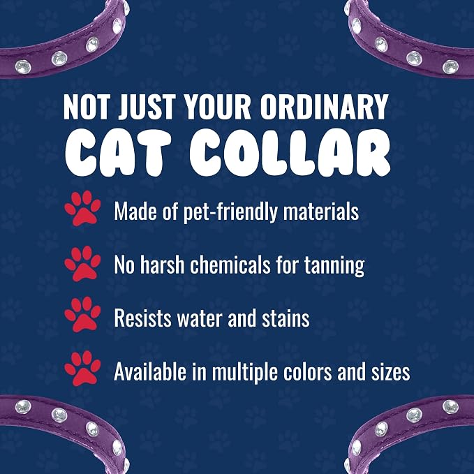 Athens Cat Collar, Leather Kitten Collar w/Rhinestones, Sturdy Breakaway Cat Collar with Bell & Elastic Stretch, bCat Accessories, Orchid Purple, 10 x ½ inches - Angel Pet Supplies