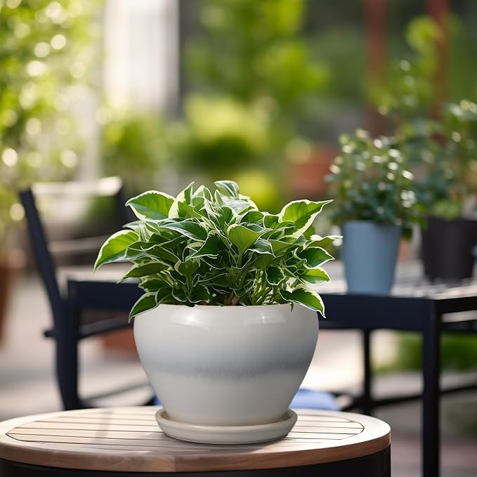 Ceramicfor Planter Pot 6 Inch - Ceramic Plant Pot with Drainage Hole and Saucer, Round Glaze Succulent Pot for Plants, White