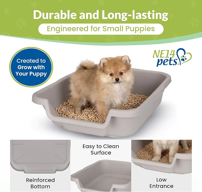 Small Gray Litter Box, Durable & Pet Safe, Open Top Entry, Comfortable for Dogs up to 6 lbs