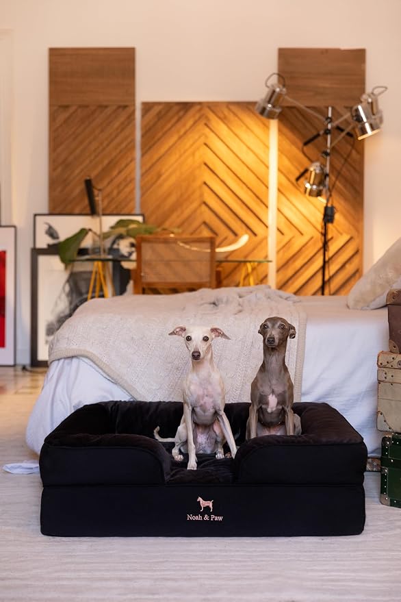 NOAH & PAW Large Dog Bed, 35x25x11 Inch, Orthopedic Dog Beds, Eggshell Memory Foam Infused with Cooling Gel, Inner Cover, Water Resistant, Machine Washable (Denim Sofa Collection)