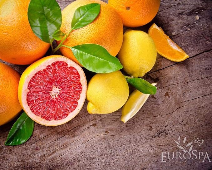 EuroSpa Aromatics Pure Eucalyptus Oil ShowerMist and Steam Room Spray, All-Natural Premium Aromatherapy Essential Oils - Citrus Infused, 8oz, 2 Pack