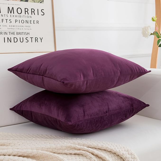 Velvet Decorative Throw Pillow Covers, Soft Square Cushion Case Home Decor for Living Room Couch Bed Sofa, Set of 2 Pack, Eggplant Purple, 16x16 Inch