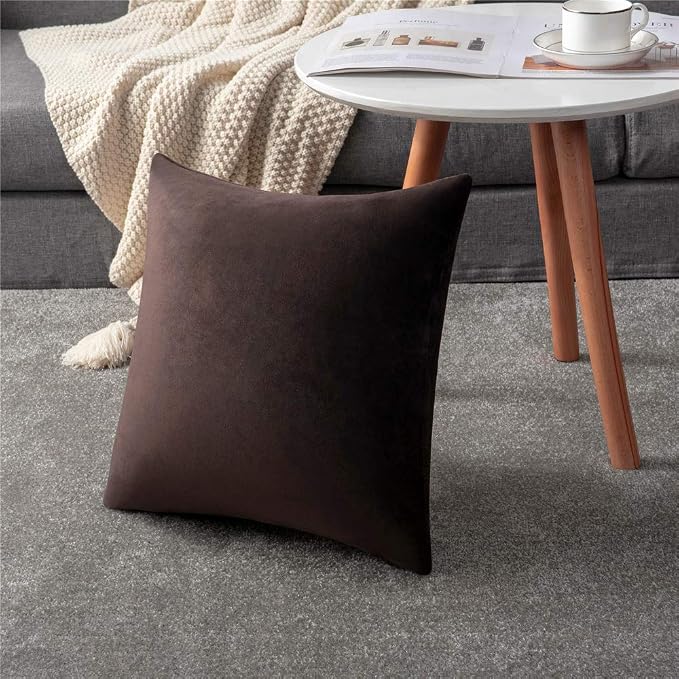 Throw Pillow Covers 16x16 Chocolate Brown: Pack of 2 Cozy Soft Velvet Square Modern Luxury Decorative Throw Pillow Cases for Sofa Couch Living Room Bed Home Decor