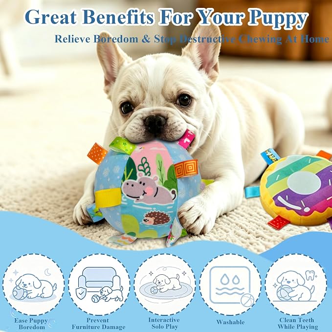 Colorful Squeaky Hanging Dog Toy with Suction Cup for Small Dogs | Bungee Tether, Crinkle Bell Ball, Bouncing Self-Play Toy, Door Frame Mounted, Interactive Fetch for Puppy Teething & Exercise