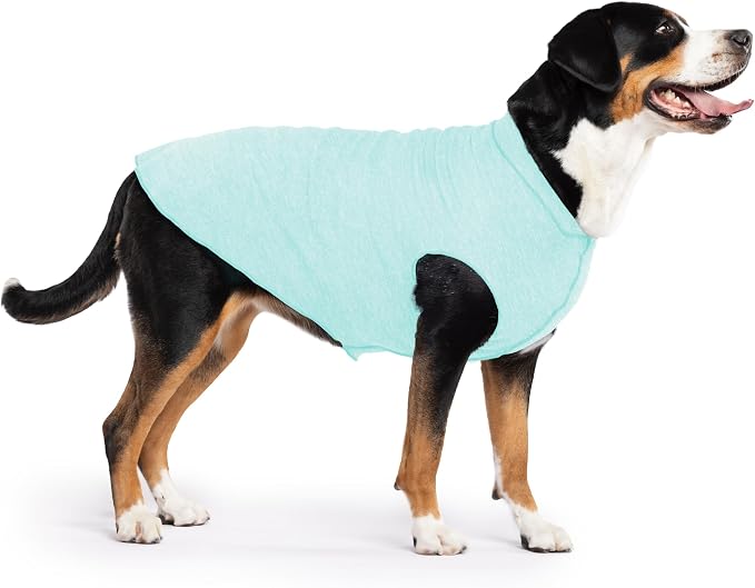 Goldpaw Dog Sun Shirt with UV Protection - Lightweight, Cooling Sun Protection Clothing for Dogs - Reduce Heat Absorption - Pet Clothes Made in the USA - Machine Washable - Size 28 - Baja Beach
