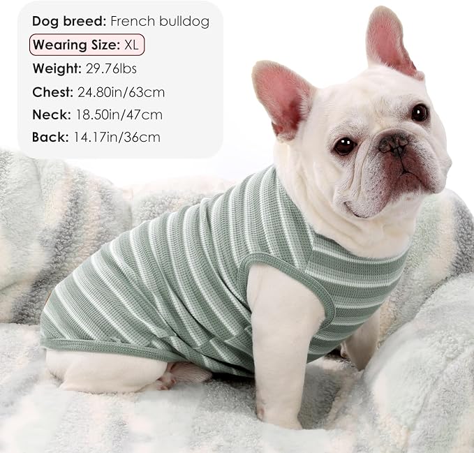 3Pack Dog Shirts Lightweight Waffle Dog Shirt for Small Dogs Sleeveless Dog Shirt for Small Medium Boy Girl Dogs Cozy & Breathable Pet Vest
