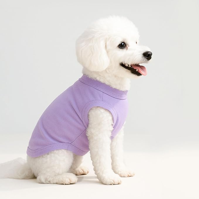 2 Pieces Dog Clothes for Small Dogs Girl Boy Spring Summer Puppy Soft Dog Shirt Solid Color Chihuahua Clothes Pet Clothing Cute Cat Cloth XXS~M (Rose,Purple, XX-Small)