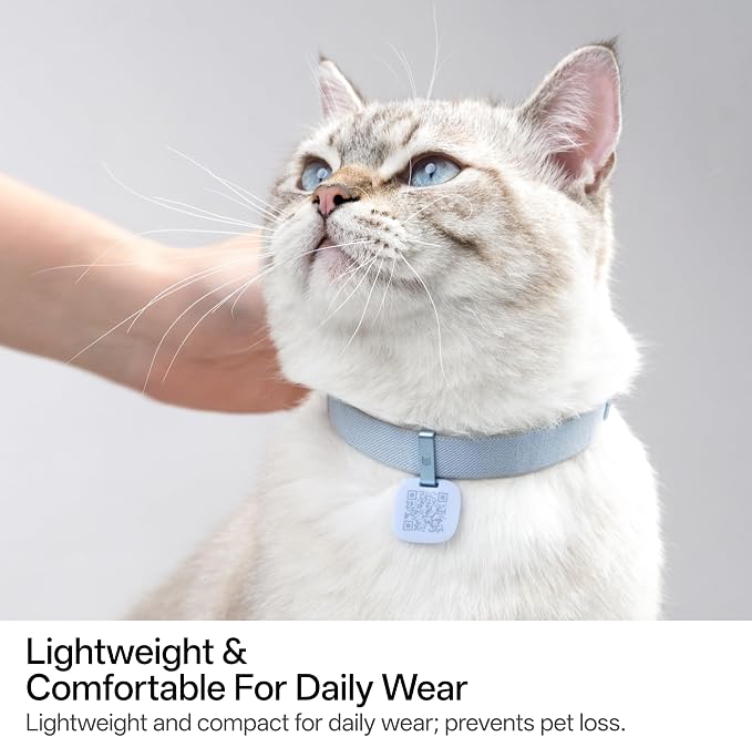 Cat Collar with QR Code Name Tag, 6-12" Adjustable Non Breakaway QR Code Cat Collar Elastic Release Personalized Online Pet Profile Scan Contact Silicone QR ID Tag for Cats (Blush Pink, S)