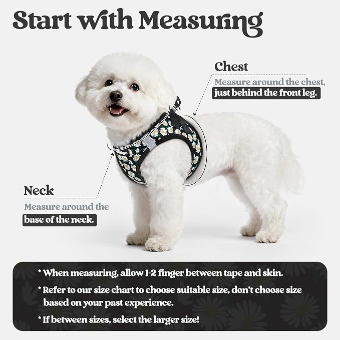 rabbitgoo Dog Harness Medium Sized and Leash Set, Step-in Puppy Pet Vest | Light, Soft, Breathable Air Mesh, Easy on and Remove with Hook & Loop, Secure Reflective for Walking, Midnight Daisy L