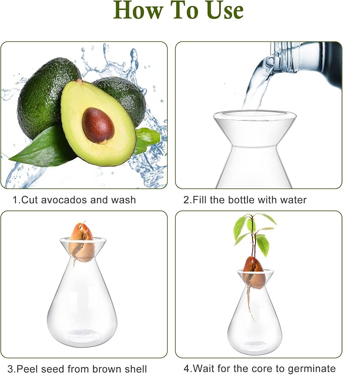 2 Pieces Avocado Seed Starter Vases, Avocados Tree Growing Kit Acorn Bulb Vase Grow Glass Avocado Pit Planter Pot Clear Hydroponics Container for Gardening Lover