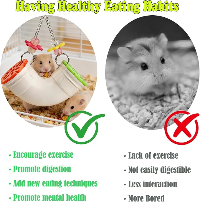 Rat Enrichment Toy, Mouse Interactive Foraging Toys for Various Treats