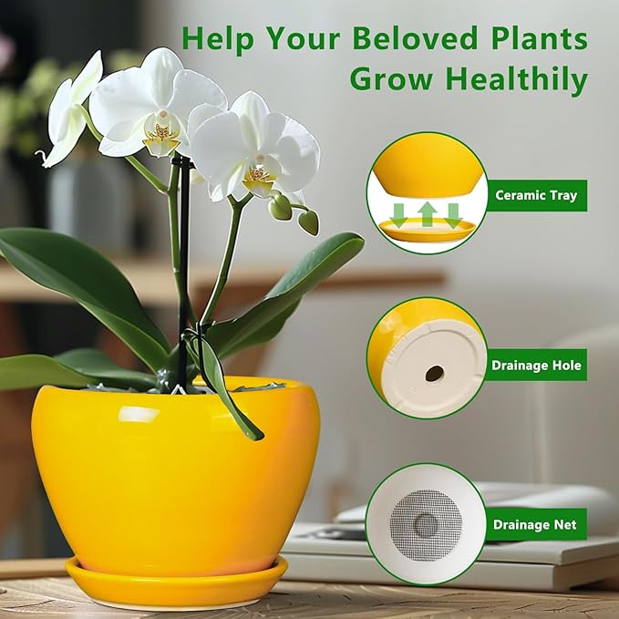 Ceramicfor 8 Inch Plant Pot - Glaze Modern Round Ceramic Planter for Indoor Outdoor Plants with Drainage Hole and Saucer for Home Patio Room Office Decor, Yellow