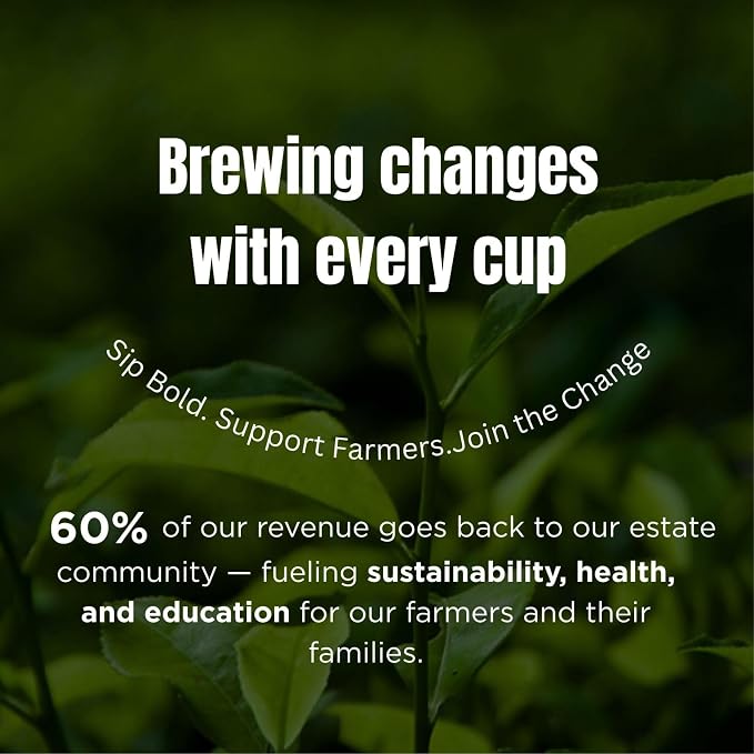 Goodwyn Turmeric Ginger Cinnamon Tea, 30 Tea Bags | Herbal Spice Blend | Caffeine Free | Plastic Free Bags | Warming Infusion, 100% Natural Ingredients
