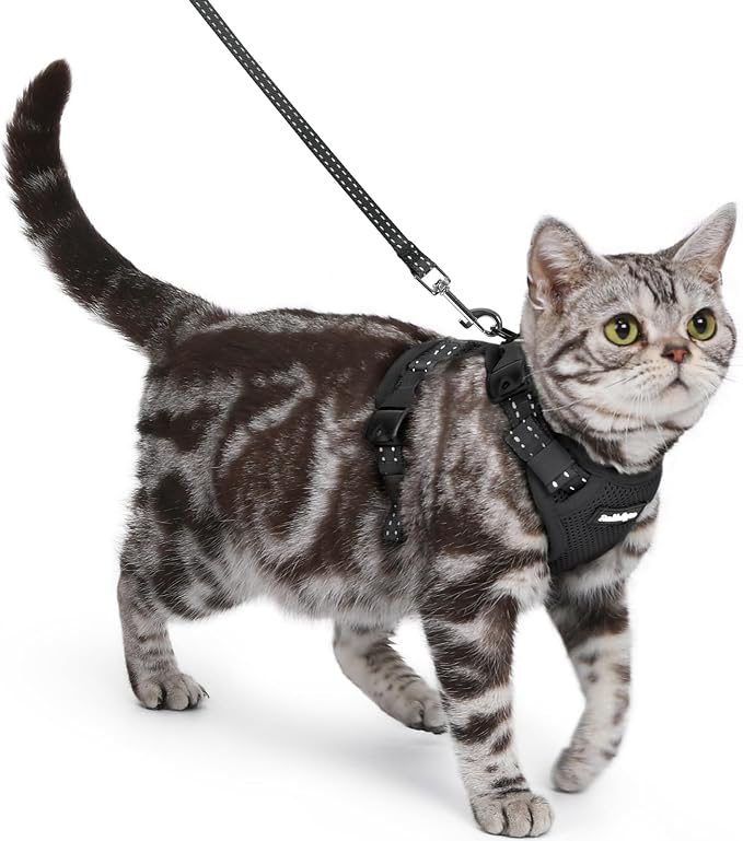 rabbitgoo Cat Harness and Leash, Easy-on with Neck Buckle, Black