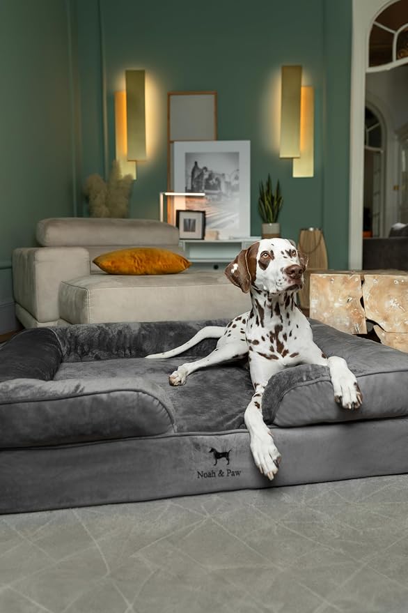 NOAH & PAW XL Dog Bed, 45x35x11 Inch, Orthopedic Large Dog Beds, Eggshell Memory Foam Infused with Cooling Gel, Inner Cover, Water Resistant, Machine Washable (Velvet Sofa Collection)