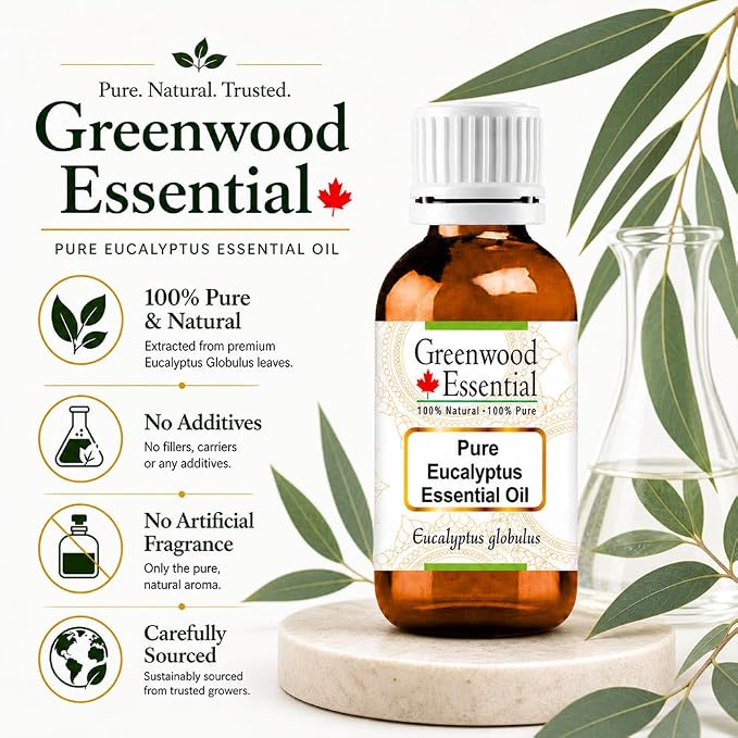 Greenwood Essential Eucalyptus Essential Oil (Eucalyptus globulus) Pure | Non-Sticky | Non-Greasy | Lightweight | Men & Women | All Skin Types | Steam Distilled 30ml (1 oz)