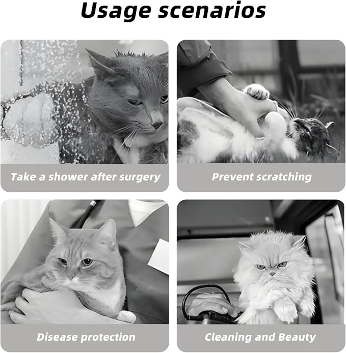 Cute Cartoon Smart Frog for Adjustable Cat Cone Collar