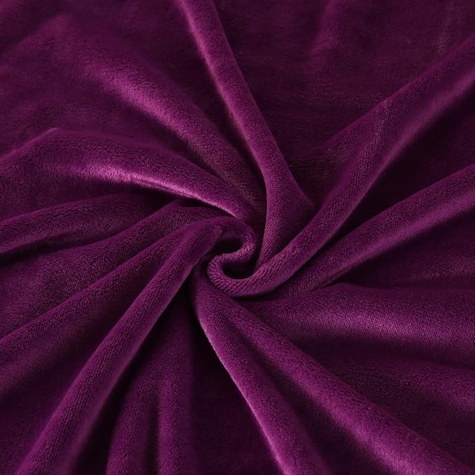 TASTHROW Large Flannel Fleece Throw Blanket, 60×80 Inch - Purple | Cozy Lightweight Thick Blanket - All Seasons Suitable for Women, Men and Kids
