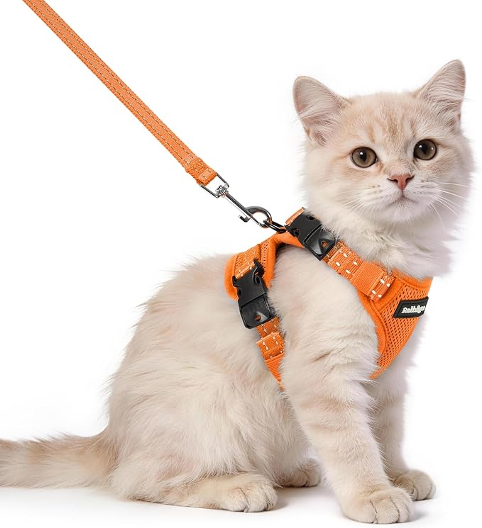 rabbitgoo Cat Harness and Leash, Easy-on with Neck Buckle, Orange
