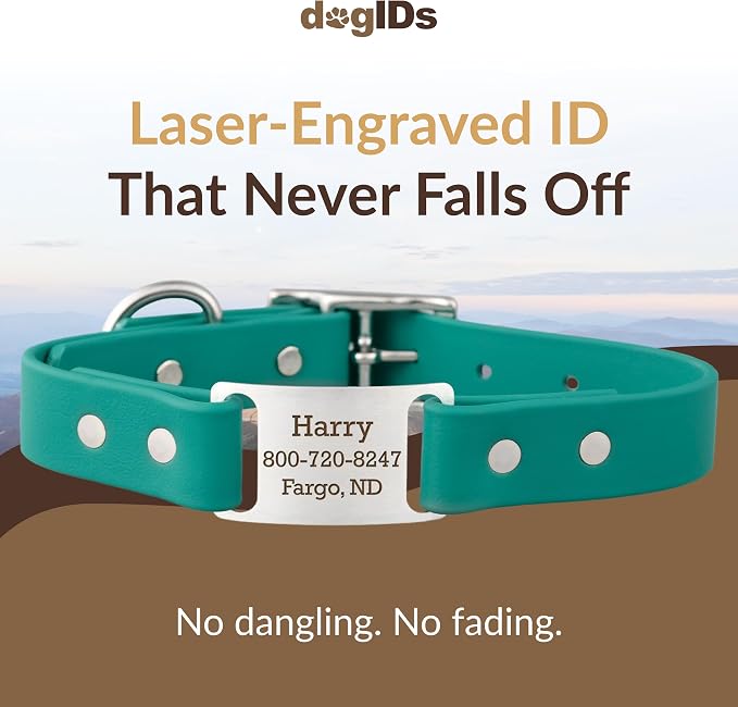 dogIDs Personalized Dog Collar – ScruffTag Custom Waterproof Biothane Dog Collar with Laser-Engraved Name, Durable & Odor-Resistant – USA Made | Teal, 5/8 in x 8 in (Fits Neck Sizes 7-9 in)