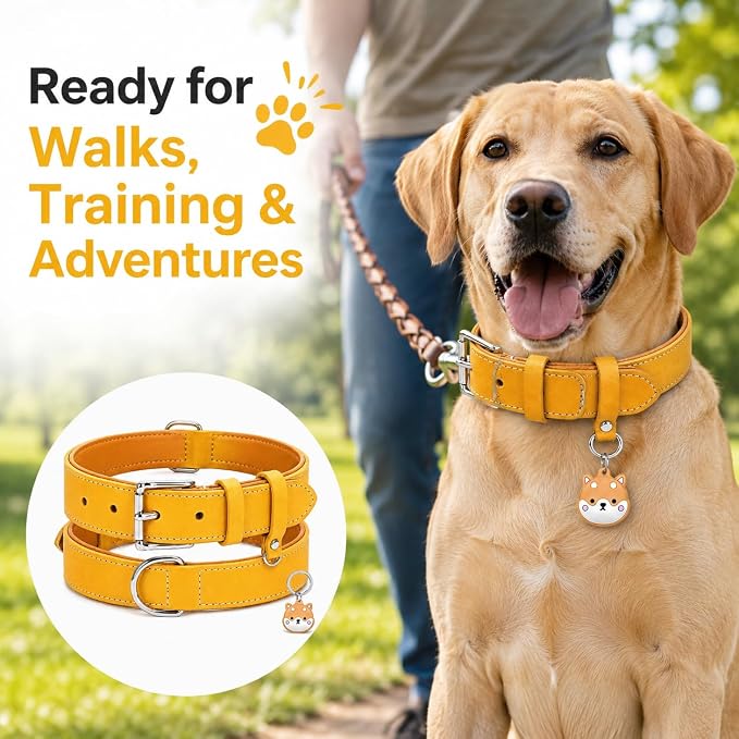 Genuine Leather Dog Collar, Soft Padded Leather Dog Collars with Airtag Holder Case for Small Medium Large X-Large Dogs,Comfort Heavy Duty Pet Collar with Durable Metal Buckle & D-Ring-Light Yellow/XS