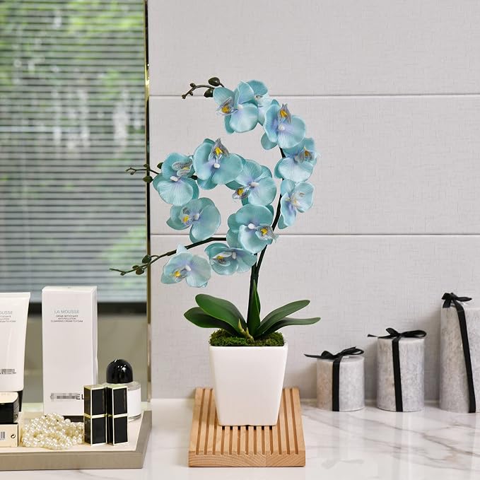 15" Silk Phalaenopsis Orchid in Square Pot, Teal Flower Plant Arrangements | Lifelike Faux Potted Blooms with Moss in a Ceramic Planter. Looks Real, Zero Upkeep, Ideal Centerpiece for Any Table