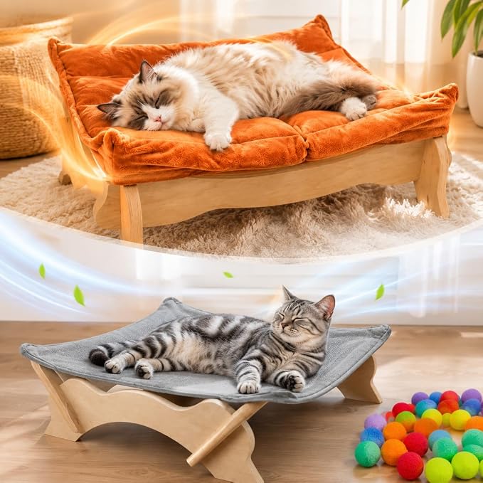 Elevated Cat Bed Wooden with Removable Washable Cushion | Solid Wood Raised Pet Lounge for Indoor Cats and Small Dogs, Cat Furniture for Living Room, Multi Pet Homes