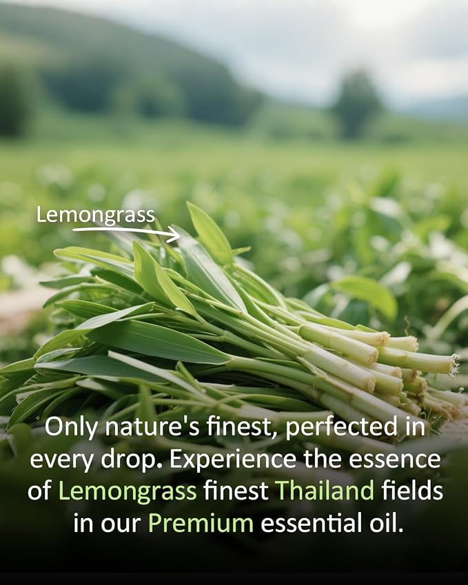 Pure Lemongrass Essential Oil Citrus Aromatherapy Natural for Hair Home Body Skin Energizing Diffuser Oils 4 Fl Oz | Large Capacity, for Aromatherapy, Diffuser, Skin, Hair, Home Care , DIY Cleaners, Candle Soap Making, Air Freshener Spray
