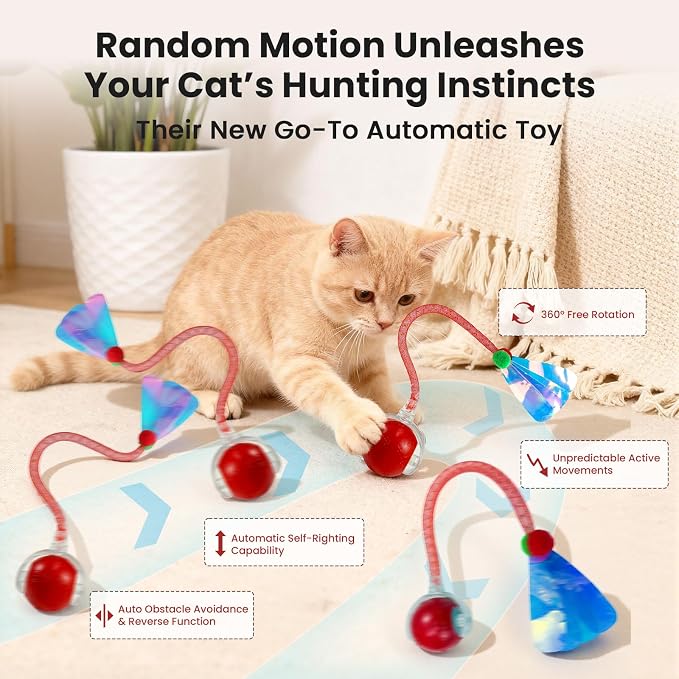 Rocfish Durable Interactive Cat Toys for Indoor Cats (red, 03)