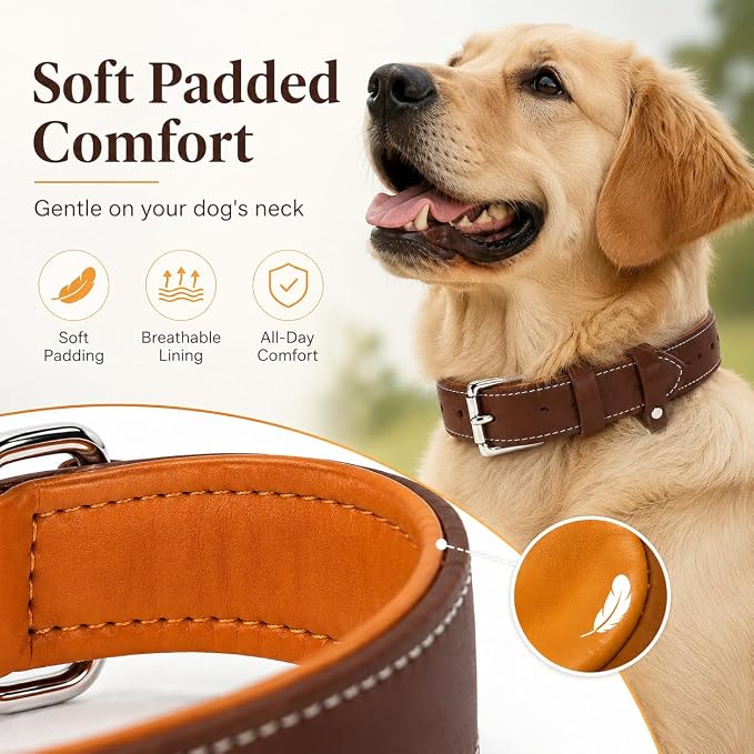 Genuine Leather Dog Collar, Soft Padded Leather Dog Collars with Airtag Holder Case for Small Medium Large X-Large Dogs,Comfort Heavy Duty Pet Collar with Durable Metal Buckle & D-Ring-Brown/L
