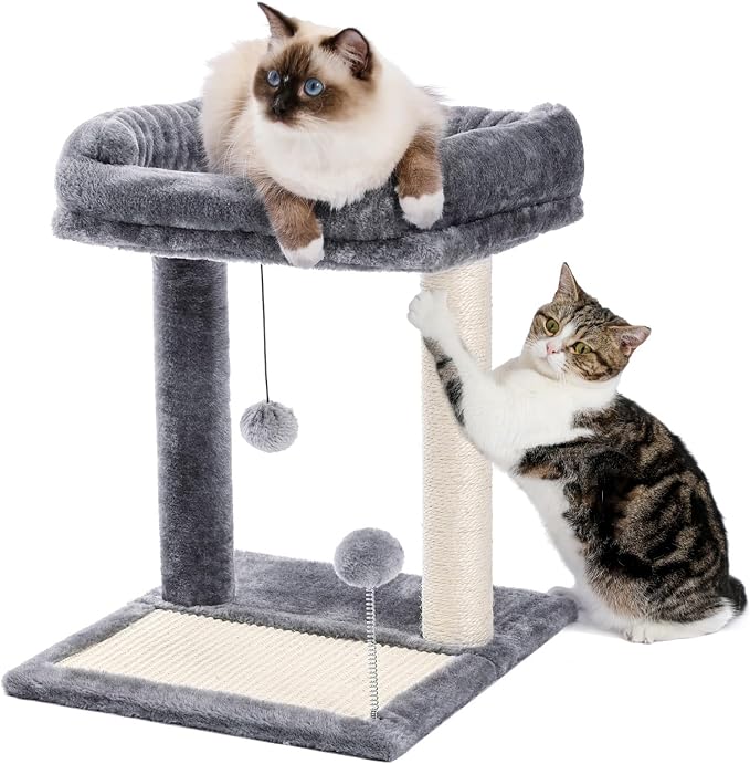 PAWZ Road Cat Scratching Post with Bed, Small Cat Tower with Pad & Ball | 19” Cat Stand with Padded Removable Bed, Full Sisal Scratching Post & Scratcher Pad Dual Play Ball for Kittens & Indoor cats