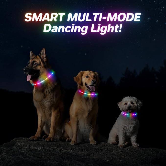 RUXAN Light Up Dog Collar,Dog Lights for Night Walking,LED Collars Waterproof,Glow Dog Collars Rechargeable,Glow in The Dark Dog Collar,Dog Collars Light for Small,Medium,Large Dogs (Medium,Purple)
