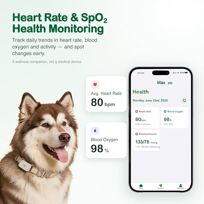 OxiLeash GPS Dog Collar & Health Tracker - Real-Time 4G Location Tracking, Virtual Fence System, Escape Alerts, Heart Rate & SpO2 Monitor, IP67 Waterproof Pet Tracker for Small & Large Dogs