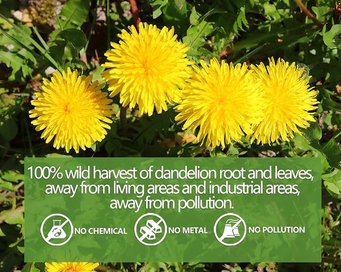 Premium Dandelion Leaf & Root Tea,50 Tea Bags /3.53Oz, for Liver & Kidney Health, Roasted Detox Herbal Tea. Support Digestion & Boost Immune System, Caffeine Free.