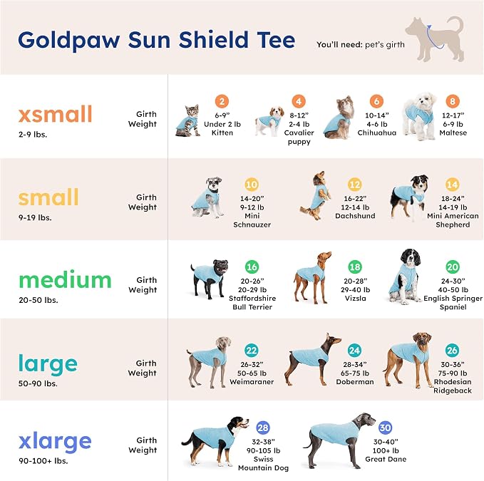 Goldpaw Dog Sun Shirt with UV Protection - Lightweight, Cooling Sun Protection Clothing for Medium Dogs - Reduce Heat Absorption - Made in the USA - Machine Washable - Pistachio Green - Size 16
