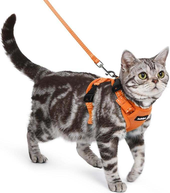 rabbitgoo Cat Harness and Leash, Easy-on with Neck Buckle, Orange