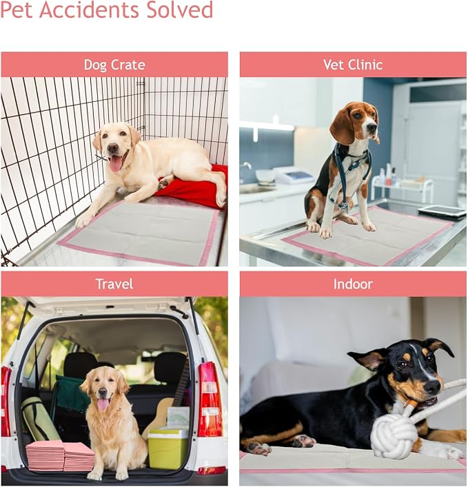 Heavy Duty Pink Puppy Pee Pads 22 x 22 Inch 50 Count Dog Traing Pads | Leak-Proof Quick Absorb 6-Layer Design for Pet Potty Training, Ideal for Puppies, Cats, Rabbits, and Guinea Pigs