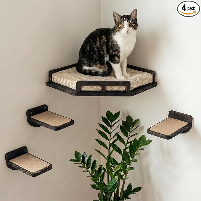 INICIO Cat Wall Shelves - Corner Shelf with 3 Cat Wall Steps - Black | Safe and Sturdy Cat Shelves for wall, Steps and Shelf for Indoor Cats up to 15lbs - Cushioned Perch for Climbing and Playing