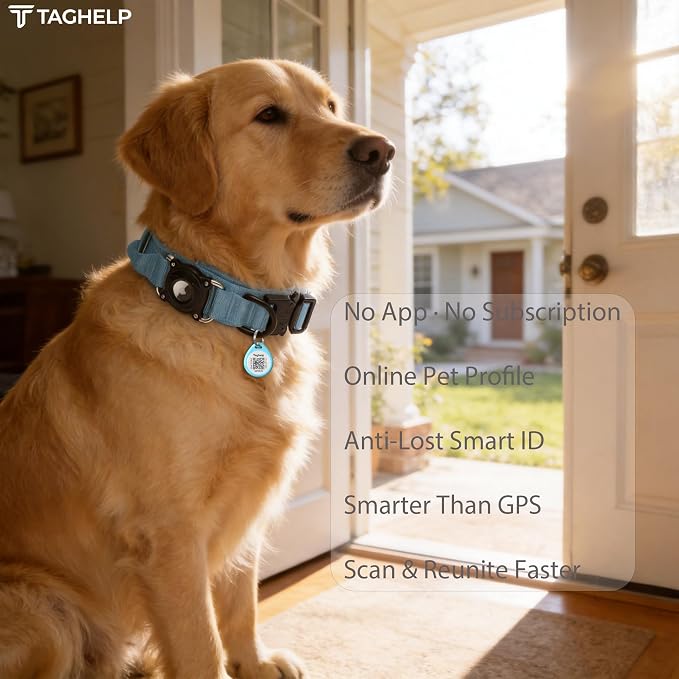 2-Pack -Smart QR Code Pet ID Tag for Dogs - Instant GPS Location Alert via Email, No App/Subscription Required, Waterproof Anti-Lost Personalized Dog Collar Accessories (Blue&Pink, for Dog - 1.2")
