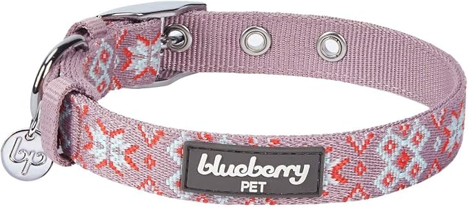 Blueberry Pet Southwestern Modern Tribal Print Thistle Braided Adjustable Dog Collar with Metal Buckle, Neck 17-20.5", for Large Breed