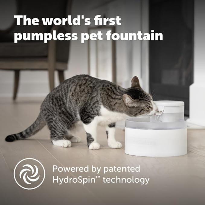 PetSafe Outlast Pumpless Cat Water Fountain, 60 oz/1.7L, Dishwasher Safe | Pumpless HydroSpin Design Circulates 60 Oz Water, Ion-x Carbon/Ion-Exchange Filter, Smart Sensors Slow Flow at Night
