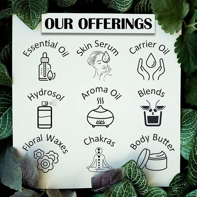 Greenwood Essential Pure Peach Kernel Oil (Prunus persica) Cold Pressed 100ml (3.38 oz)
