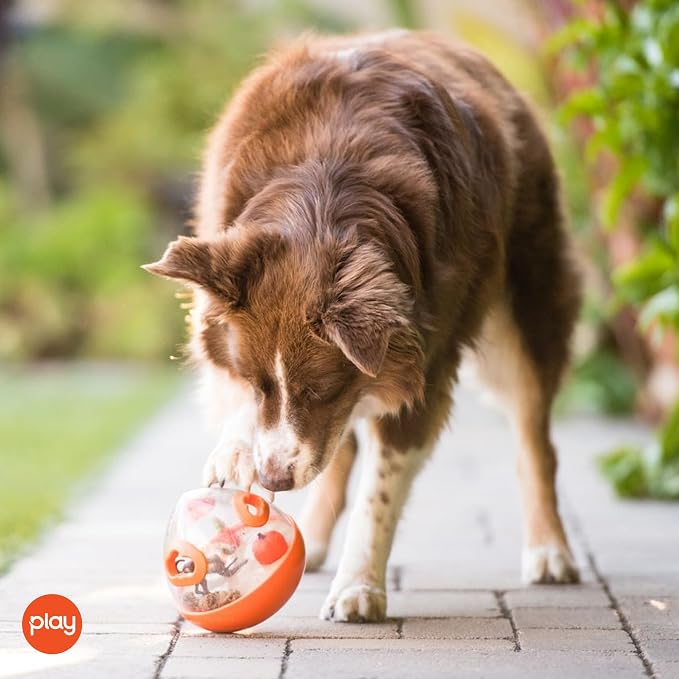 Wobble Ball Interactive Food & Treat Dispensing Puzzle Toy for Puppies & Dogs - Slow Feeder, Mental Enrichment, Forage Skills, Training, Relieves Boredom - Dishwasher Safe, Easy Clean (Pumpkin Orange)