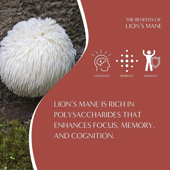 Teeccino Caffeine-Free Mushroom Adaptogenic Herbal Tea - 10 Tea Bags - Lion’s Mane Rhodiola Tea - Rose, 3x More Herbs than Regular Teas, Lightly Sweet from Dates & Figs, Chicory Prebiotic
