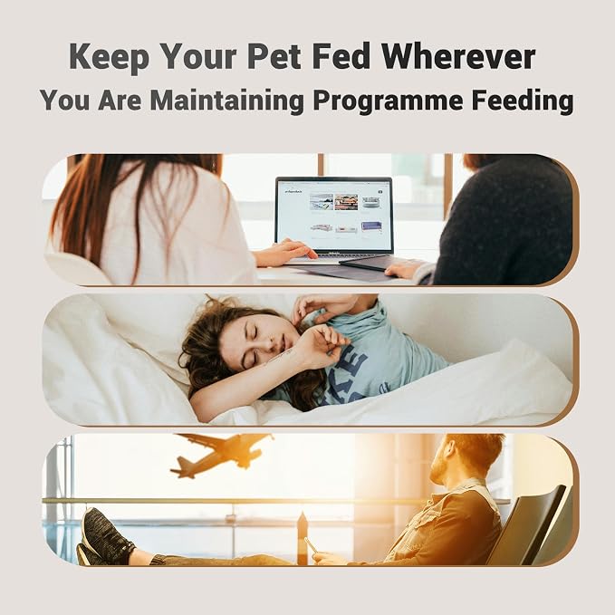 Automatic Cat Feeder: 4L Timed Cats Food Dispenser Programmable | Easy to Set, Dual Power, Precise Portion, Auto Pet Feeder with Stainless Steel, Detachable Washable for Cats and Small Dog